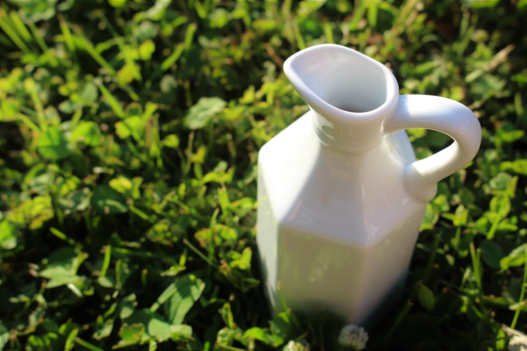 Photo Water pitcher