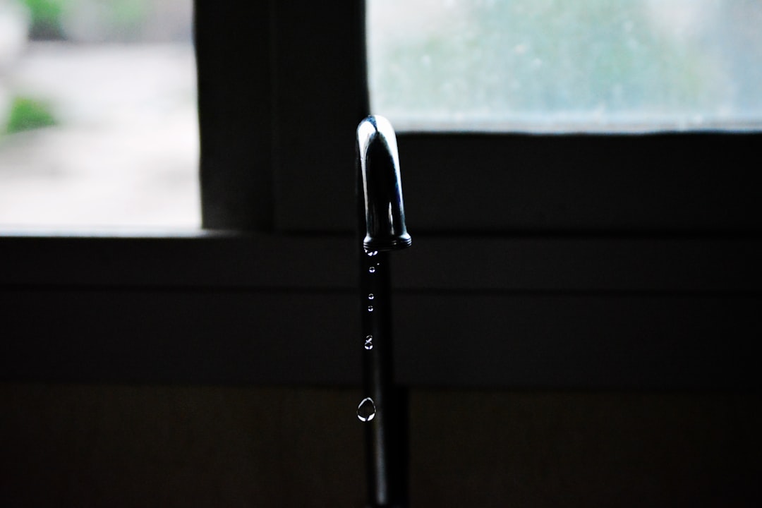 Photo Faucet filter